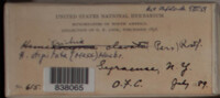 Image Associated With the Occurence